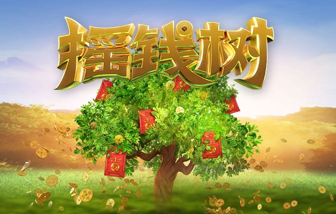 实拍泉州一海洋乐园海象表演时冲撞饲养员，园方：海象情绪不稳定